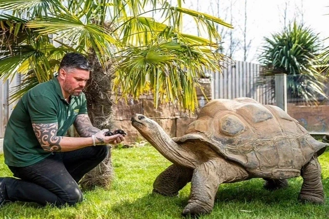 5 loài động vật sống thọ nhất hành tinh: Có loài "cải lão hoàn đồng" 5 loài động vật sống thọ nhất hành tinh: Có loài "cải lão hoàn đồng"