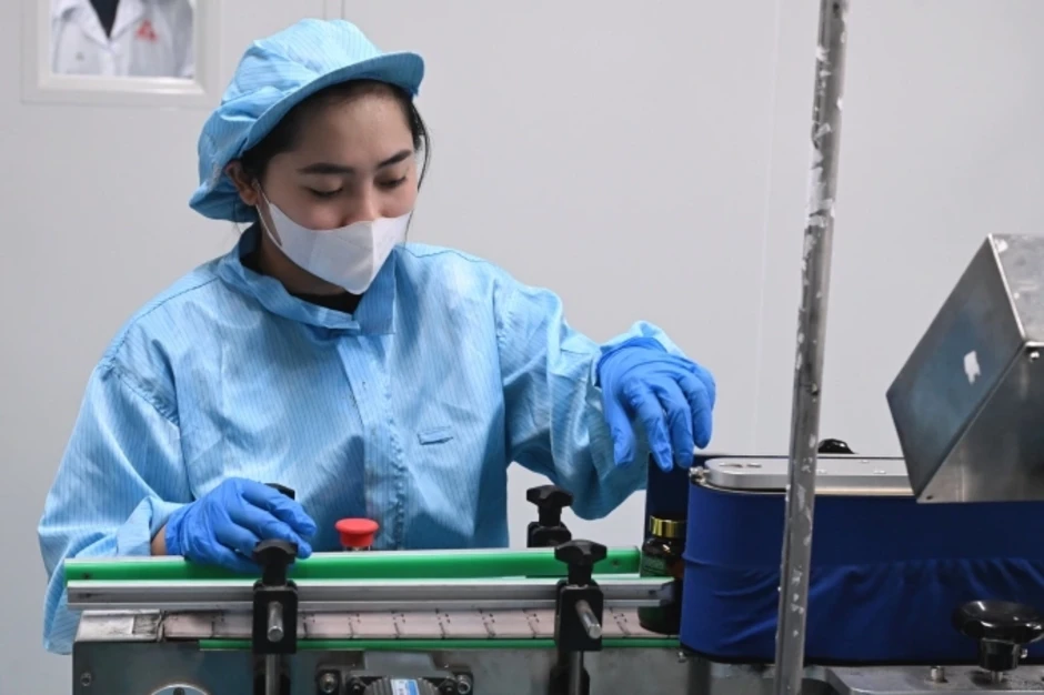 Nhà khoa học tìm cách để nhiều người được dùng sâm Ngọc Linh Nhà khoa học tìm cách để nhiều người được dùng sâm Ngọc Linh