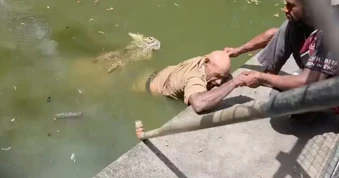 Nhân viên vườn thú bị cá sấu cắn, lôi xuống nước trước mặt các du khách