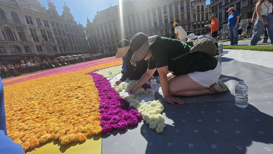 “Sóng” của Hokusai bằng hoa giữa lòng thủ đô Brussels “Sóng” của Hokusai bằng hoa giữa lòng thủ đô Brussels