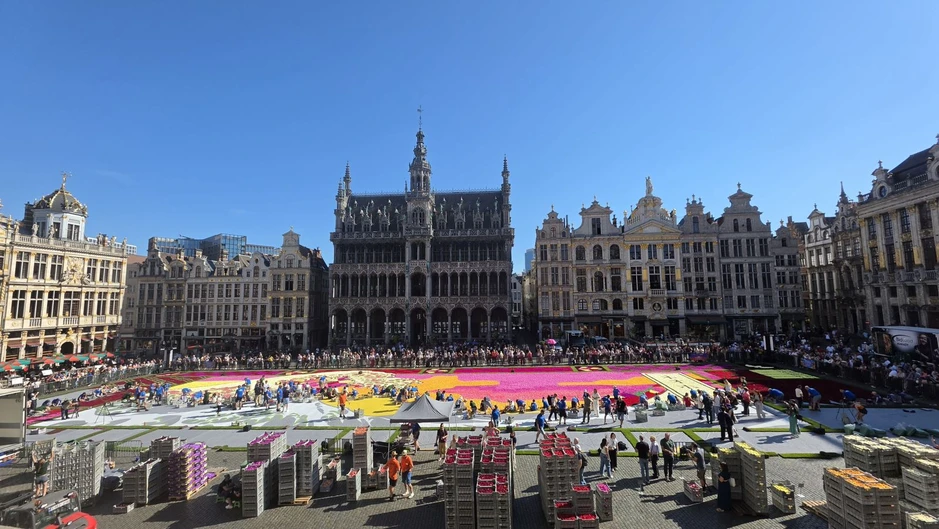 “Sóng” của Hokusai bằng hoa giữa lòng thủ đô Brussels “Sóng” của Hokusai bằng hoa giữa lòng thủ đô Brussels