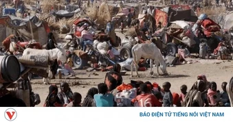 17 người thiệt mạng trong cuộc giao tranh ở biên giới Sudan với Cộng hòa Chad