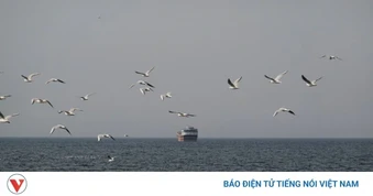 20 tàu thương mại đi qua eo Hormuz trong 1 ngày