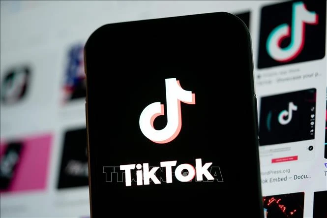 Anh điều tra TikTok liên quan đến bảo vệ trẻ em trên không gian mạng Anh điều tra TikTok liên quan đến bảo vệ trẻ em trên không gian mạng