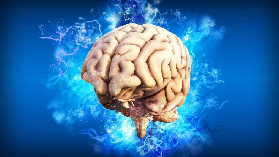 Anh ghi nhận ca tử vong nghi do mắc viêm màng não Anh ghi nhận ca tử vong nghi do mắc viêm màng não
