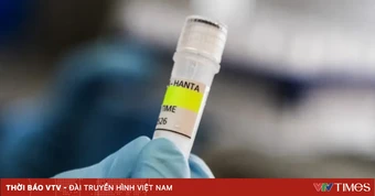 Anh, Tây Ban Nha phát hiện ca nhiễm hantavirus mới