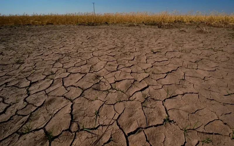 Australia cảnh báo về đợt El Nino mạnh nhất nhiều thập kỷ Australia cảnh báo về đợt El Nino mạnh nhất nhiều thập kỷ