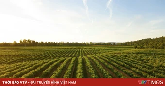 Bài toán nhân lực trẻ trong ngành nông nghiệp tại châu Âu