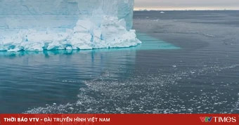 Băng biển ở Tây Nam Cực suy giảm tương đương diện tích nước Pháp
