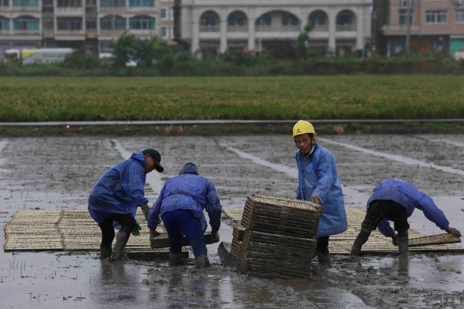 Bão Bavi càn quét, khu vực Đông Á sẵn sàng ứng phó