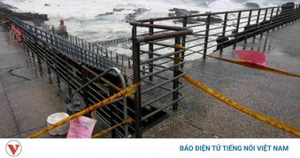 Bão Bavi càn quét, khu vực Đông Á sẵn sàng ứng phó
