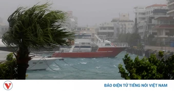 Bão Bavi quét qua Nhật Bản, Trung Quốc nâng cấp ứng phó khẩn cấp