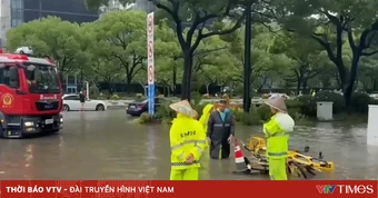 Bão Dolphin đổ bộ Trung Quốc, mang theo mưa lớn và gió mạnh