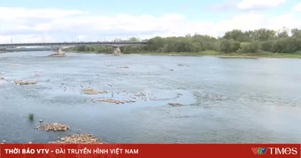 Báo động tình trạng các dòng sông châu Âu cạn nước