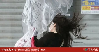Bão Jangmi làm gián đoạn hàng trăm chuyến bay tại Nhật Bản