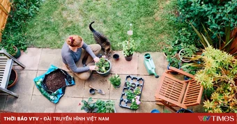 Bất ngờ với trào lưu “than nghèo” của giới trẻ