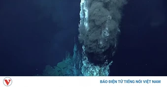 Bí ẩn rãnh Mariana sâu nhất Trái Đất và sự sống “ngoài hành tinh” ở đáy đại dương