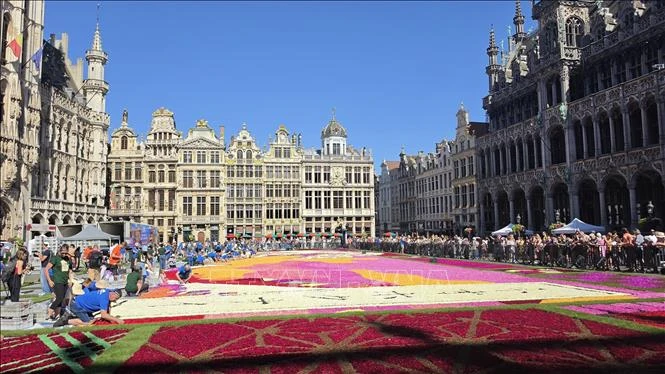 Bỉ: Khai mạc Thảm Hoa Brussels 2026 Bỉ: Khai mạc Thảm Hoa Brussels 2026