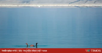 Biển Chết đang thu hẹp, làm tăng nguy cơ biến mất hệ sinh thái độc đáo