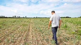 Biến đổi khí hậu gây thiệt hại nặng nề