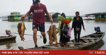 Biến đổi khí hậu làm giảm oxy trong các dòng sông toàn cầu