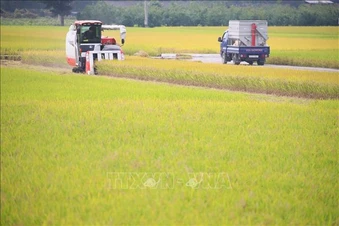 Biến đổi khí hậu: LHQ cảnh báo nắng nóng cực đoan đe dọa hệ thống nông lương toàn cầu