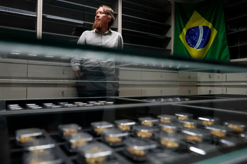 Brazil dùng “dấu vân tay địa chất” truy nguồn vàng lậu Brazil dùng “dấu vân tay địa chất” truy nguồn vàng lậu