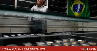 Brazil dùng “dấu vân tay địa chất” truy nguồn vàng lậu