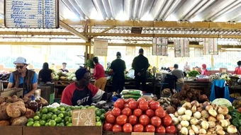 Brazil gửi 21.000 tấn lương thực và vật tư y tế hỗ trợ Cuba