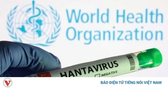 Các nước tăng cường cách ly, giới khoa học tìm lời giải vaccine cho virus Hanta