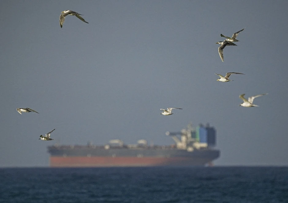 Các tàu chở dầu né eo biển Hormuz trước lệnh phong tỏa của Mỹ