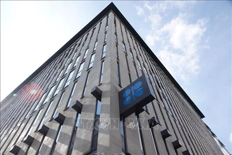 Các thành viên OPEC+ chưa có ý định ‘nối gót’ UAE