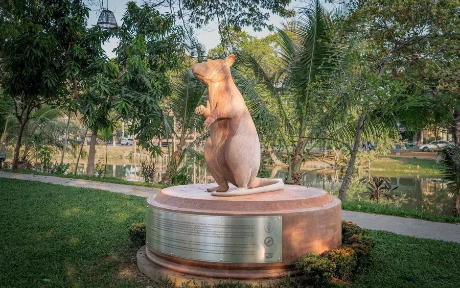 Campuchia dựng tượng vinh danh chuột "anh hùng" Magawa Campuchia dựng tượng vinh danh chuột "anh hùng" Magawa