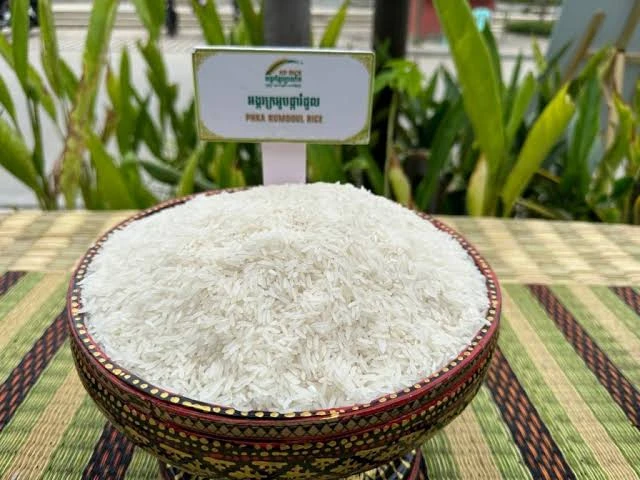 Campuchia làm việc chưa từng có: Xuất khẩu 10.000 tấn gạo bằng tàu chở hàng rời, điểm đến là một đối tác lớn của Việt Nam Campuchia làm việc chưa từng có: Xuất khẩu 10.000 tấn gạo bằng tàu chở hàng rời, điểm đến là một đối tác lớn của Việt Nam