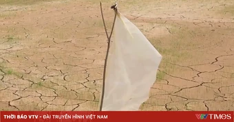 Campuchia ứng phó hạn hán do El Nino