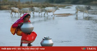 Cảnh báo bất bình đẳng giới làm trầm trọng thêm khủng hoảng nước toàn cầu