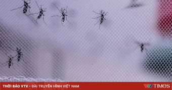 Cảnh báo số ca nhiễm virus Tây sông Nile gia tăng khắp châu Âu