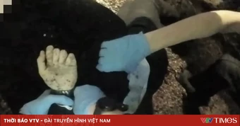 Cảnh sát Anh hứng làn sóng chỉ trích vì còng tay nạn nhân bị đâm dao