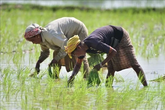 Châu Á và châu Phi chia sẻ mô hình, kinh nghiệm phát triển nông thôn