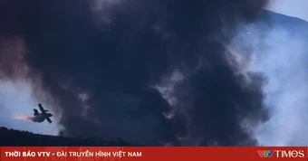 Châu Âu đối mặt hàng loạt vụ cháy rừng nghiêm trọng do nắng nóng