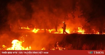 Châu Âu khẩn trương ngăn chặn cháy rừng