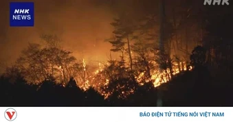 Cháy rừng lại hoành hành và gây thiệt hại nghiêm trọng ở Nhật Bản