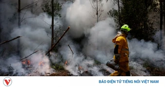 Cháy rừng lan rộng ở châu Âu: Hàng trăm nghìn người sơ tán