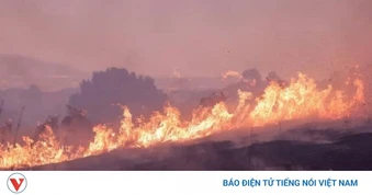 Cháy rừng lan rộng tại Tây Nam nước Mỹ, nhiều bang trong tình trạng báo động