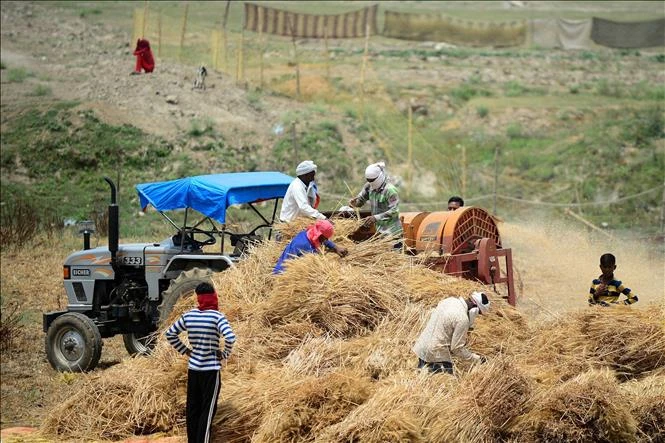 Chiến sự Iran khiến nông dân phải tìm đường thoát phụ thuộc phân bón hóa học Chiến sự Iran khiến nông dân phải tìm đường thoát phụ thuộc phân bón hóa học