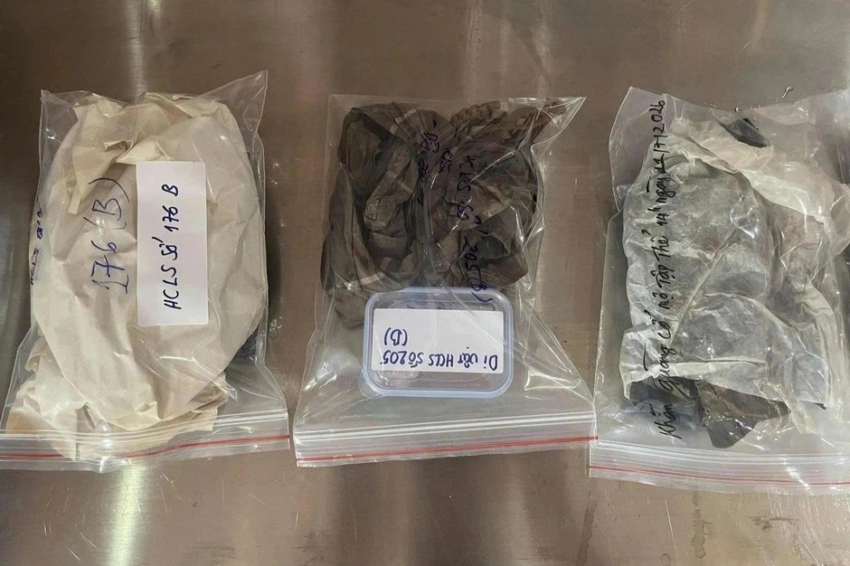 Chín chiếc khăn ở Công viên Lê Thị Riêng có phải ám hiệu của chiến sĩ Biệt động Sài Gòn? Chín chiếc khăn ở Công viên Lê Thị Riêng có phải ám hiệu của chiến sĩ Biệt động Sài Gòn?
