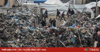 Chuột hoành hành làm lây lan dịch bệnh tại các khu lều trại Gaza