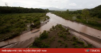 Chuyên gia Liên hợp quốc cảnh báo Mexico đối mặt với "khủng hoảng độc hại"