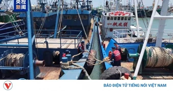 Chuyên gia Trung Quốc: Bão Dolphin là cơn bão hiếm gặp