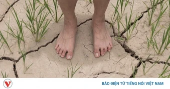 Chuyên gia Trung Quốc: Còn quá sớm để nói “siêu El Nino” sẽ xảy ra trong năm nay